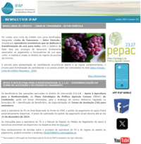 Ícone Newsletter IFAP 10.2024