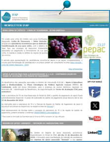 Ícone Newsletter IFAP 10.2024